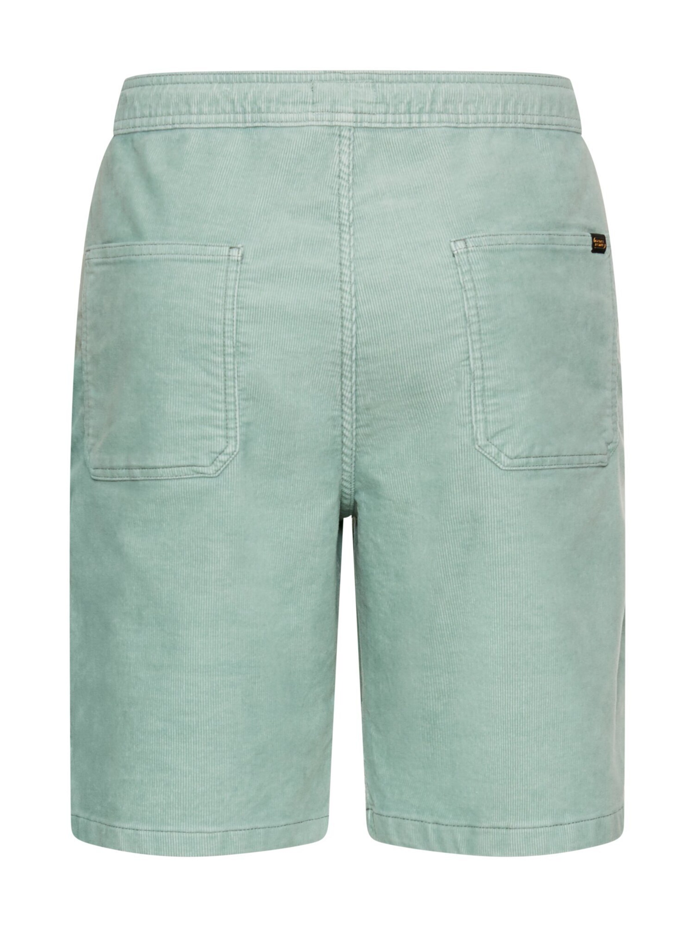 CAMEL ACTIVE Regular Pants in Green