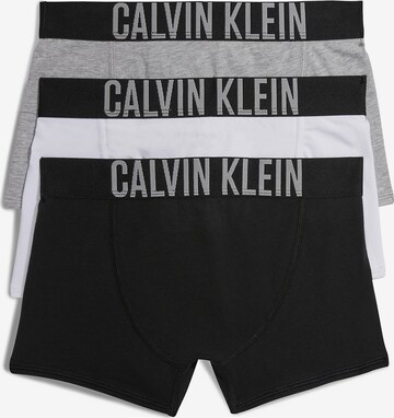 Calvin Klein Underwear Underpants in Grey