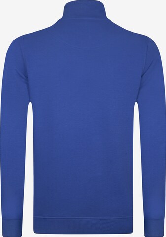 DENIM CULTURE Sweatshirt 'Alcinoo' in Blauw