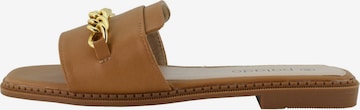 Palado Mules 'Pekiz' in Brown