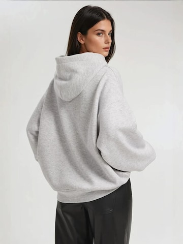 Hiccup Sweatshirt in Grau