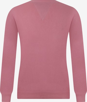 DENIM CULTURE Pullover 'Moana' in Pink