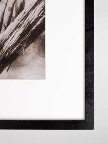 Liv Corday Bild in Schwarz