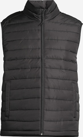 Gilet AÉROPOSTALE en noir : devant