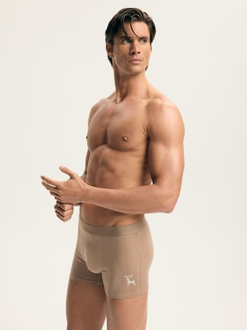 ESOTIQ Boxershorts 'Boxershorts Doppelpack aus Baumwolle Mix Atmungsaktiv bequem Aura' in Beige