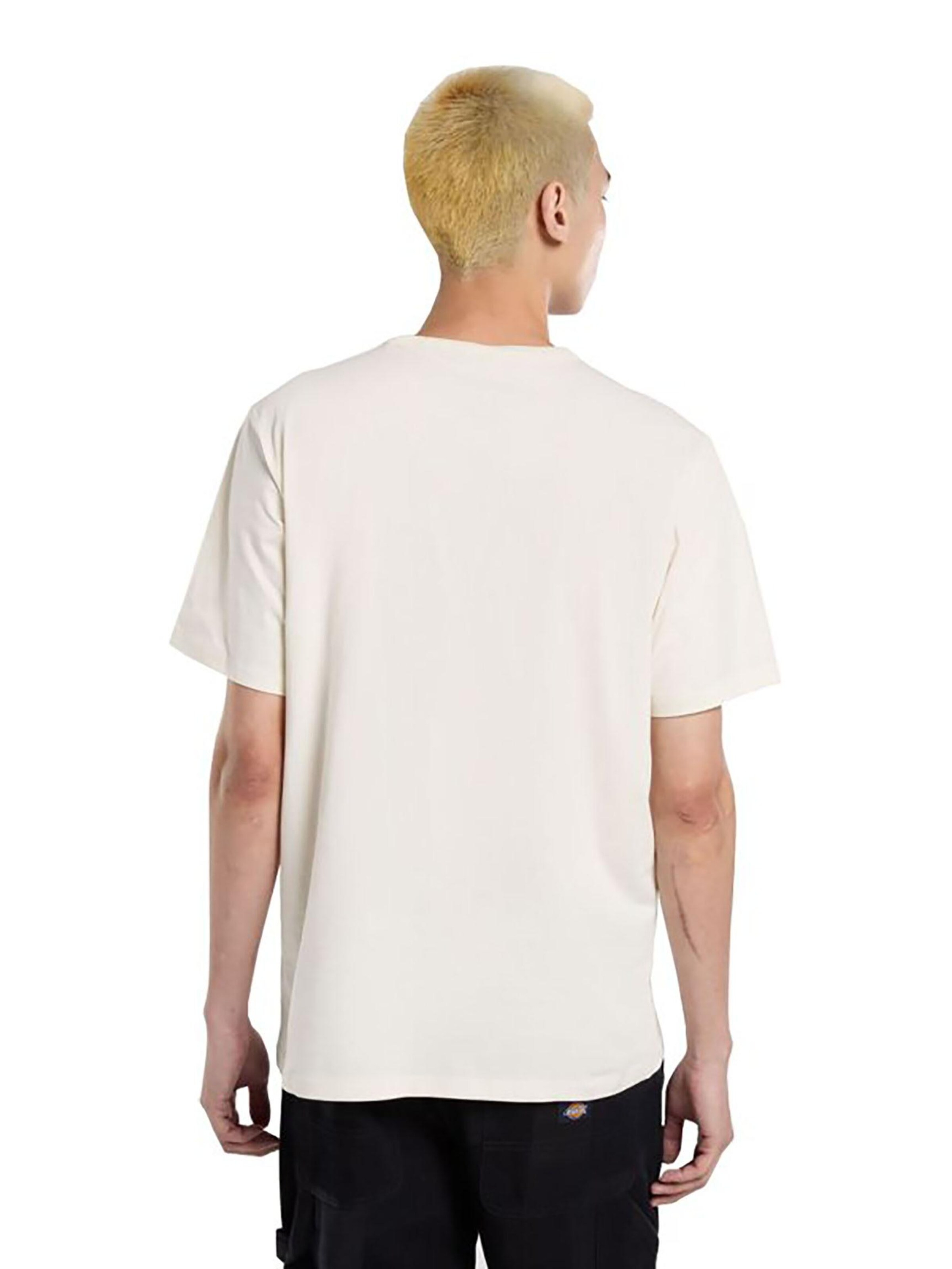 DICKIES Shirt 'Aitkin' in Beige