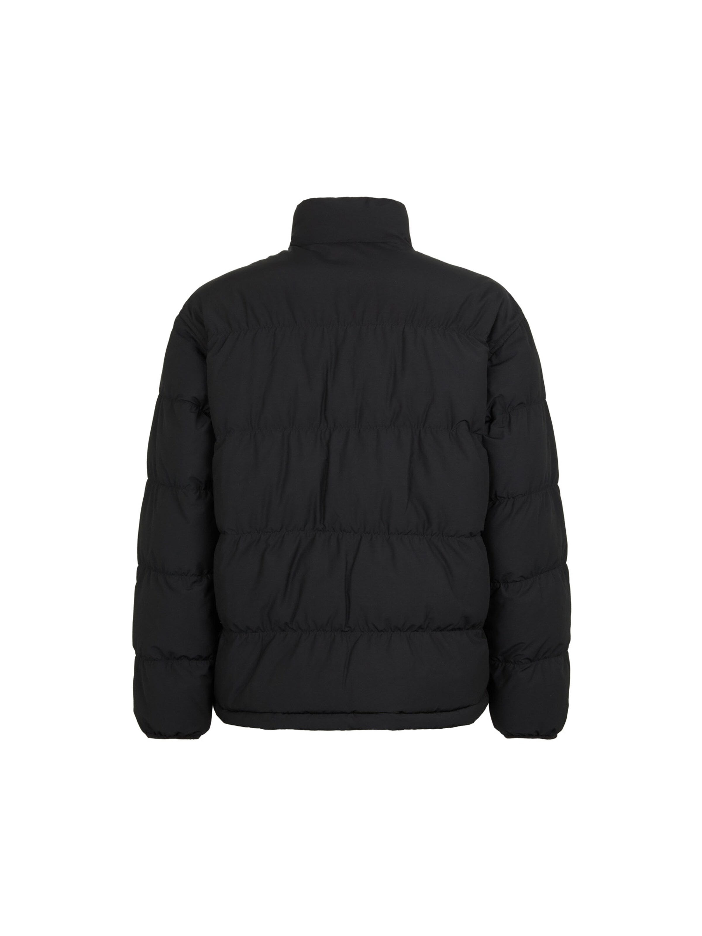 Geacă de iarnă de la DICKIES pe negru