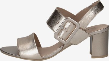 CAPRICE Sandalen met riem in Goud