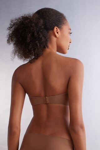 INTIMISSIMI Balconette BH in Braun