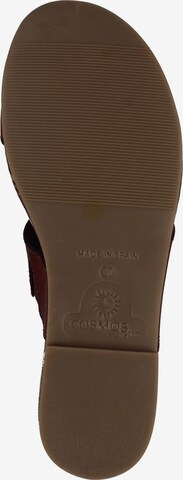 Mule COSMOS COMFORT en marron