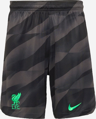NIKE Sportske hlače u antracit siva / boja blata / neonsko zelena, Pregled proizvoda