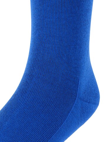 FALKE Socks 'Family' in Blue