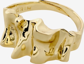 Pilgrim Ring i guld: framsida