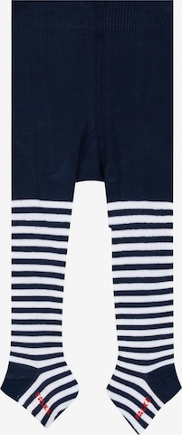 FALKE Tights 'Stripe' in Blue: front
