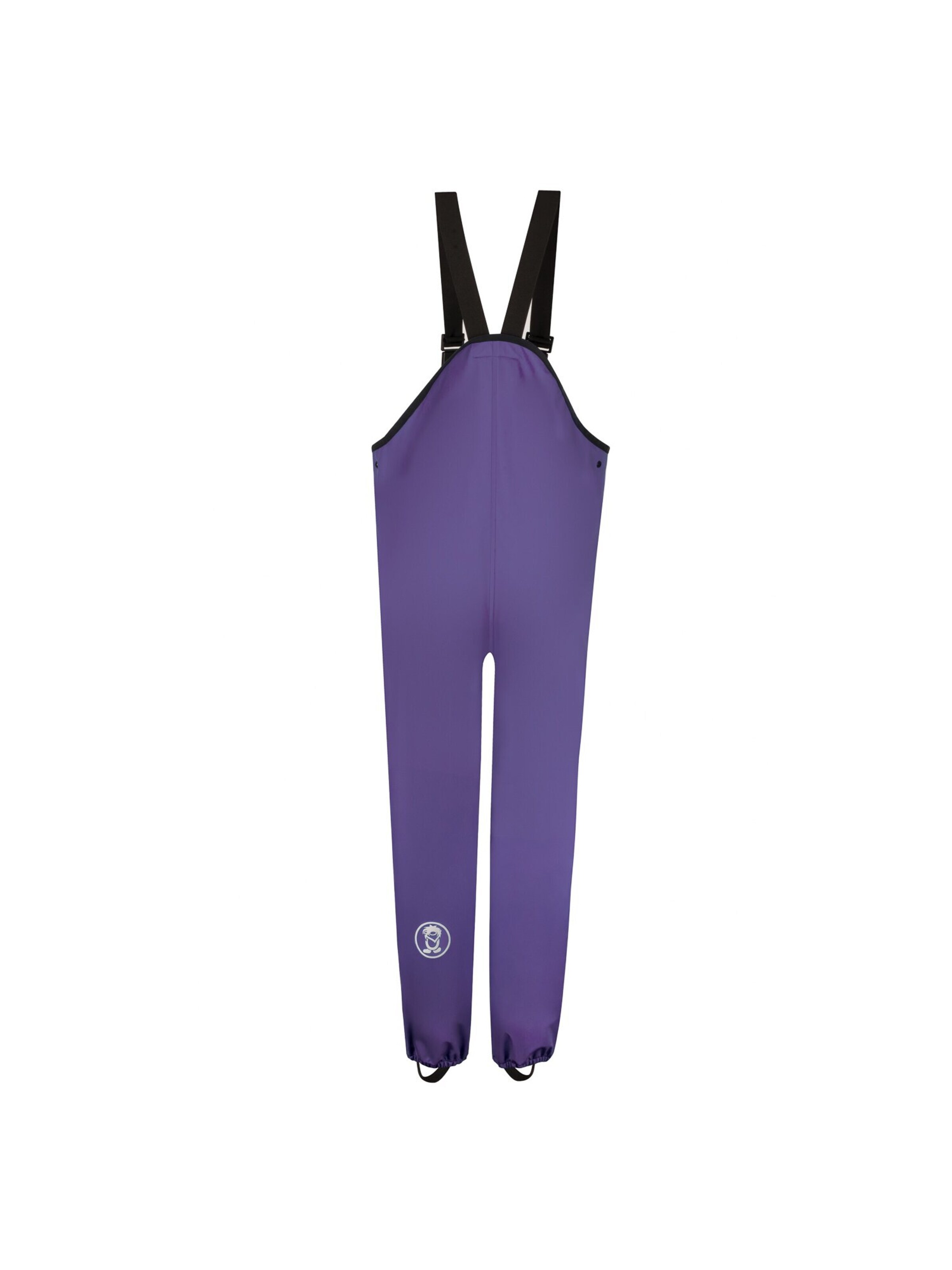 TROLLKIDS Regular Outdoor Pants in Purple
