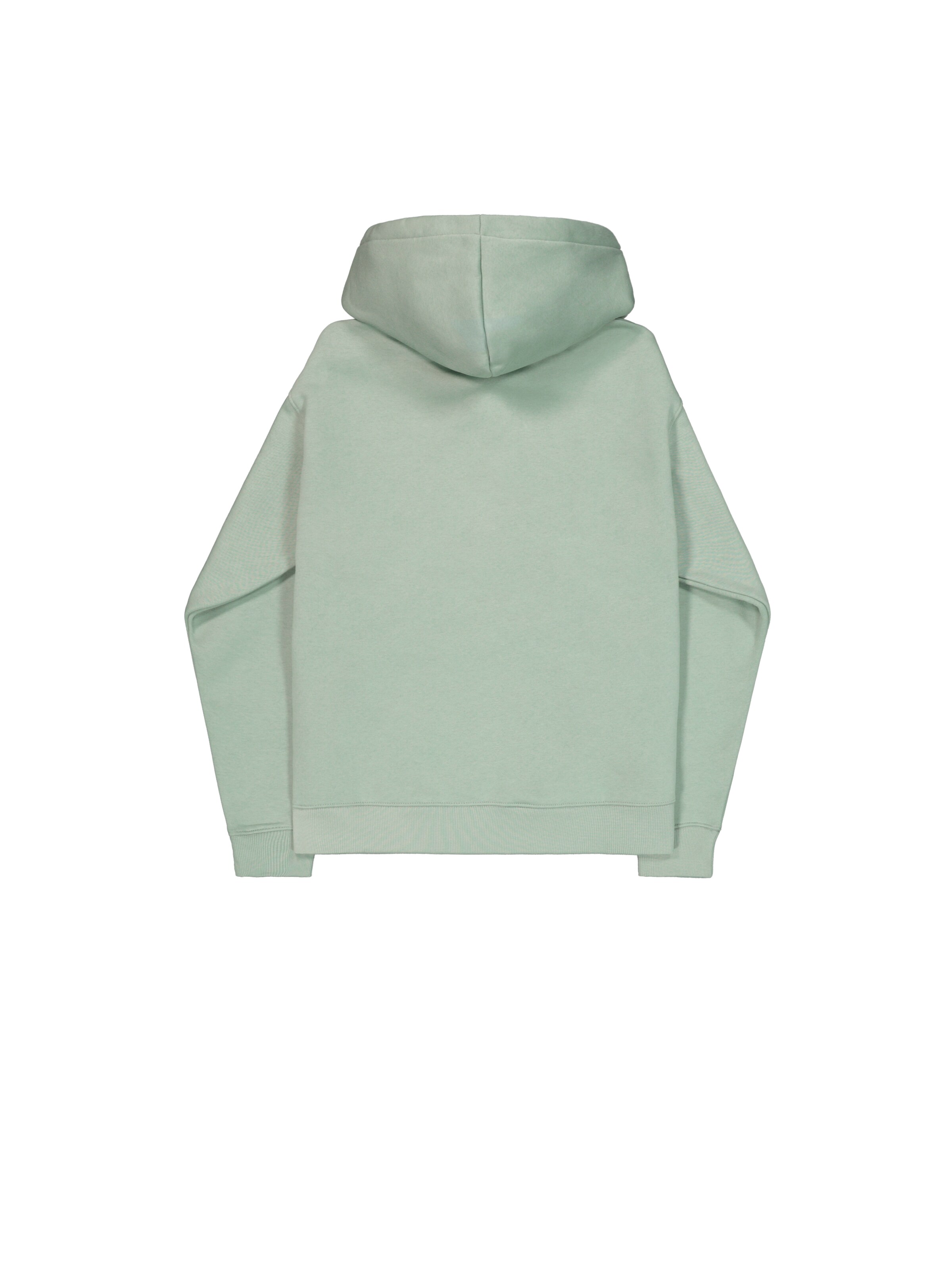 ALPHA INDUSTRIES Bluzka sportowa 'DTM' w kolorze zielony