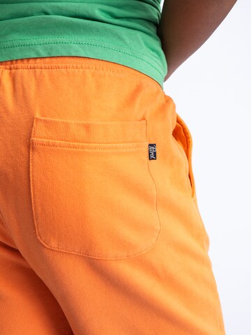 Regular Pantalon 'Sundew' Petrol Industries en orange