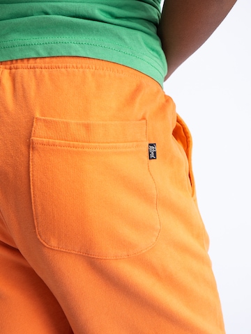 Petrol Industries Regular Shorts 'Sundew' in Orange