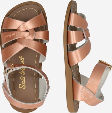 Salt-Water Sandals Sandaler i pink