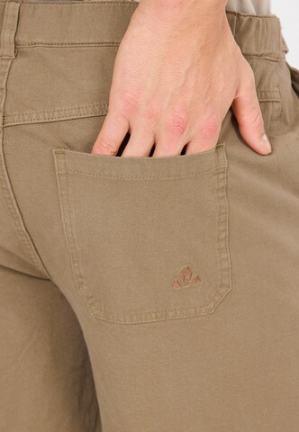 Whistler Regular Sports trousers 'Levanger' in Brown