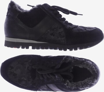 LLOYD Sneakers & Trainers in 37 in Black: front