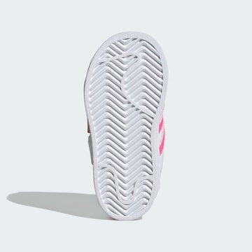 ADIDAS ORIGINALS - Zapatillas deportivas 'Care Bears Superstar' en blanco