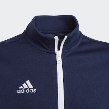 ADIDAS PERFORMANCE - Chaqueta deportiva 'Entrada 22' en azul