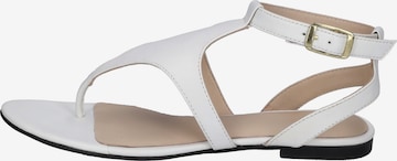 GERRY WEBER T-Bar Sandals 'Gadera' in White: front