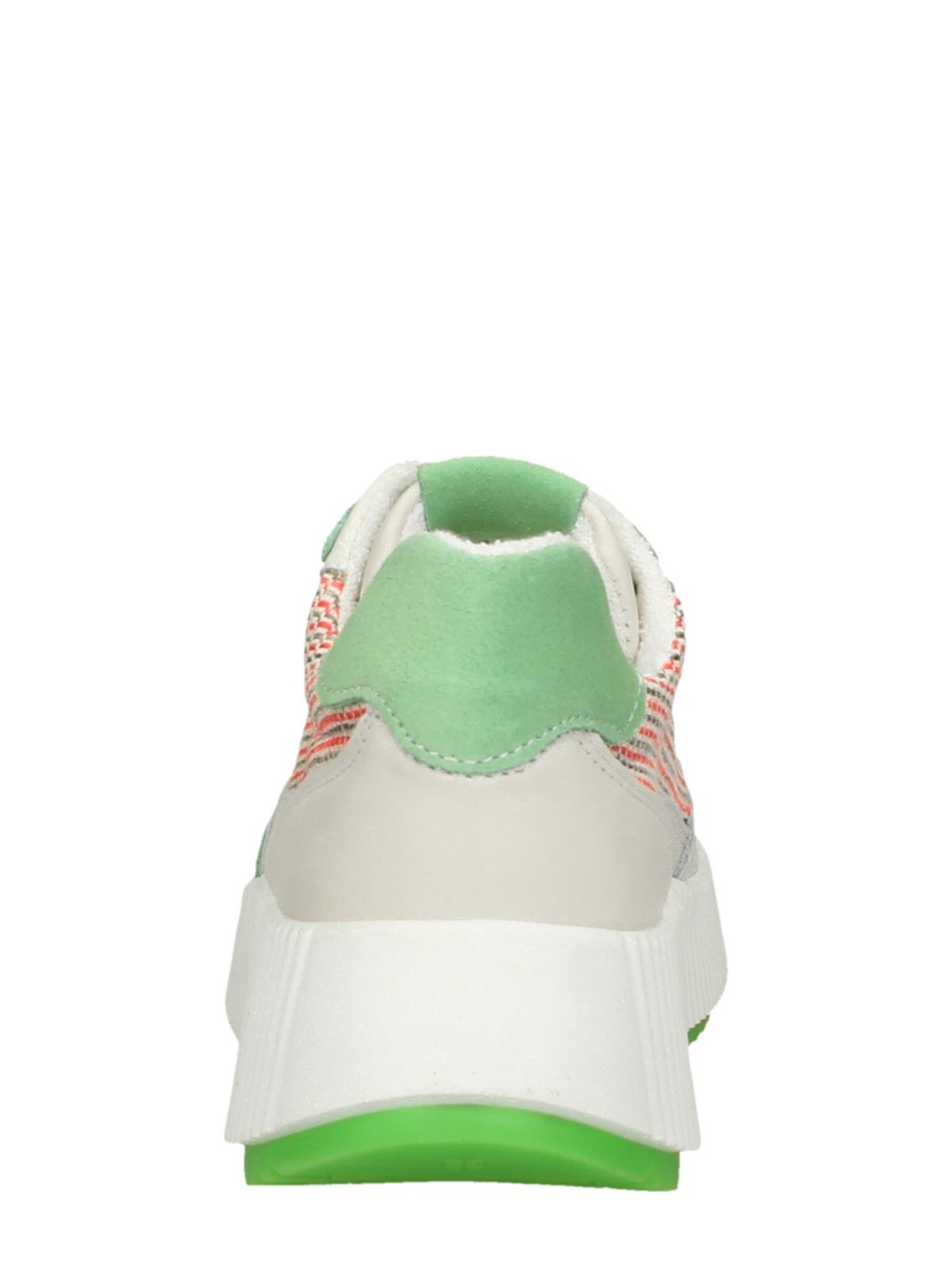 Palpa Sneakers laag in Groen