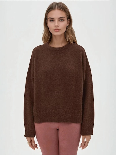 Hiccup Pull-over 'Pullover' en S-M en marron châtaigne, Vue avec produit