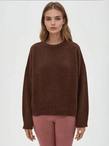 Hiccup Svetr 'Pullover' – hnědá: přední strana