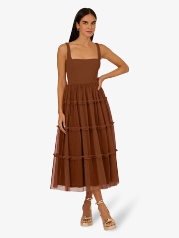 Adrianna Papell Cocktail dress in Brown: front