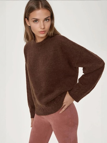 Hiccup - Pullover em castanho