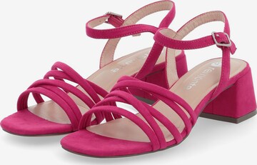 Sandalo con cinturino di REMONTE in rosa