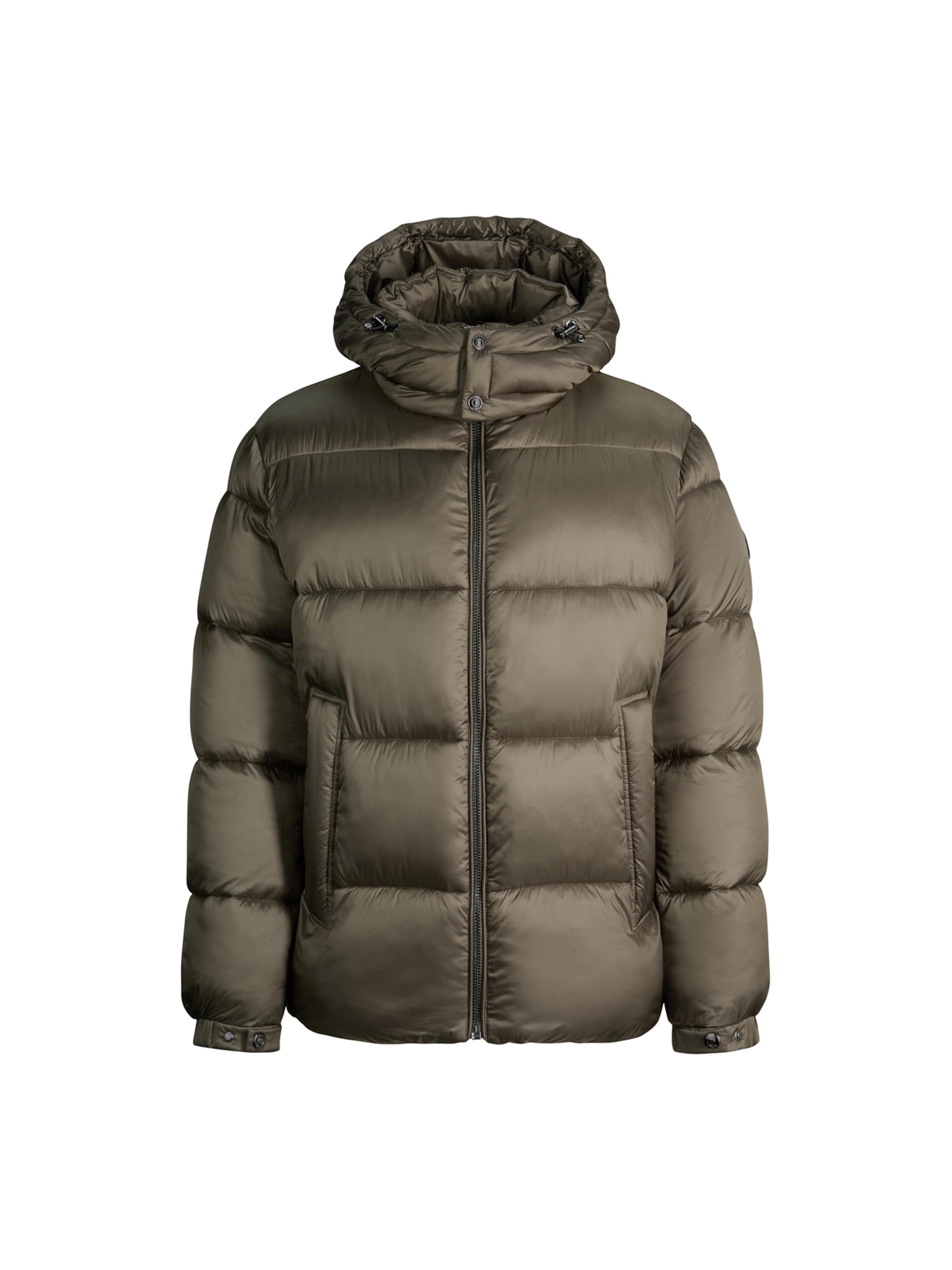 JOOP! Winterjas in Groen: voorkant
