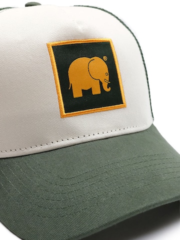 Trendsplant Кепка ' CLASSIC TRUCKER ' в Зеленый