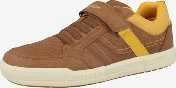 GEOX Sneakers 'J Arzach B. A' in Brown: front