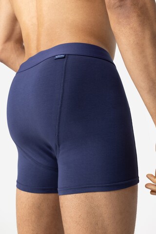Boxers A-dam en bleu
