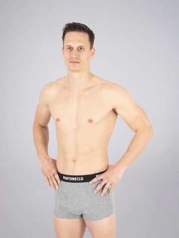 PANTONECLO Boksershorts 'Pantoneclo Men’s Boxer Underwear-10 Pcs Pack' i blandingsfarvet