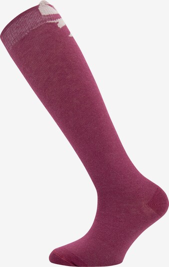 EWERS Socks in Beige / Pastel red, Item view