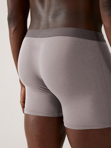 Boxers 'RICAARD' ARMEDANGELS en gris