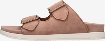 SALAMANDER Pantolette 'Basic' in Braun: Vorderseite