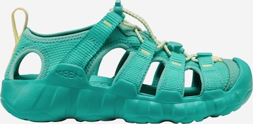 KEEN Sandals in Blue: front