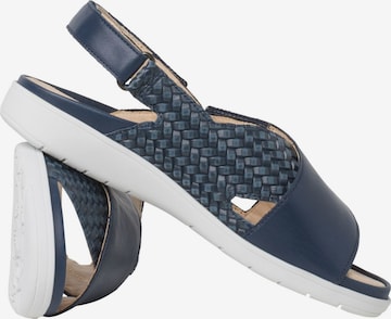 Ganter Sandalen met riem in Blauw