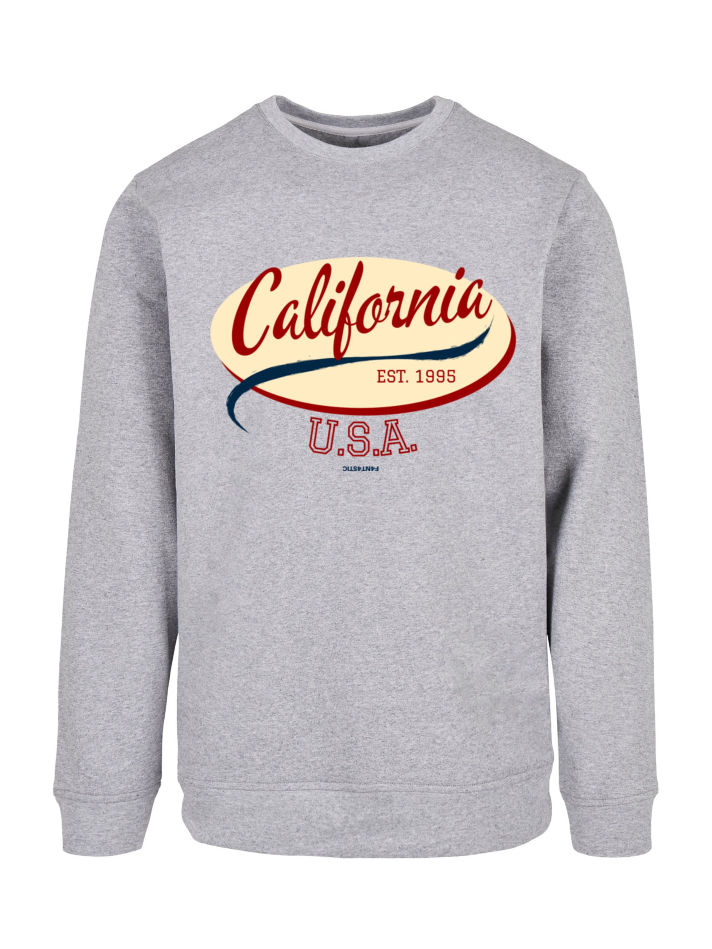 F4NT4STIC Sweatshirt 'California' in Grau: Vorderseite
