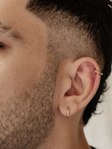 Hey Happiness Oorbel 'Poise' in Goud