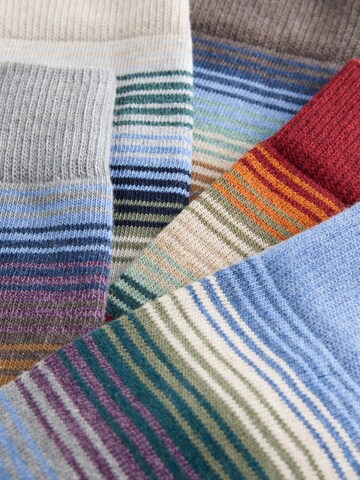 Next Socks in Mixed colours