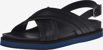 Baldinini Sandals in Black: front