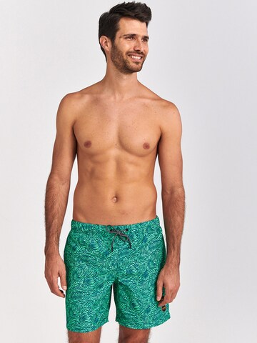 Shorts de bain Shiwi en vert : devant