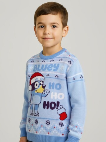 Bluey Sweater in Blue